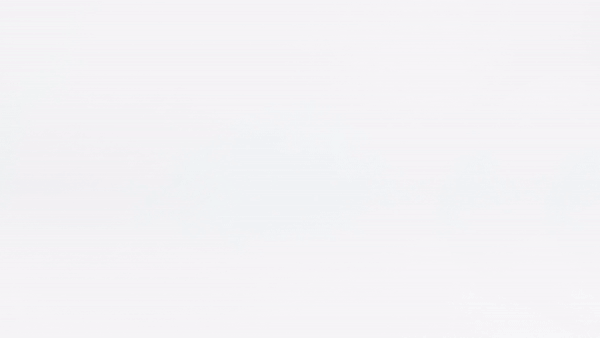 82126217