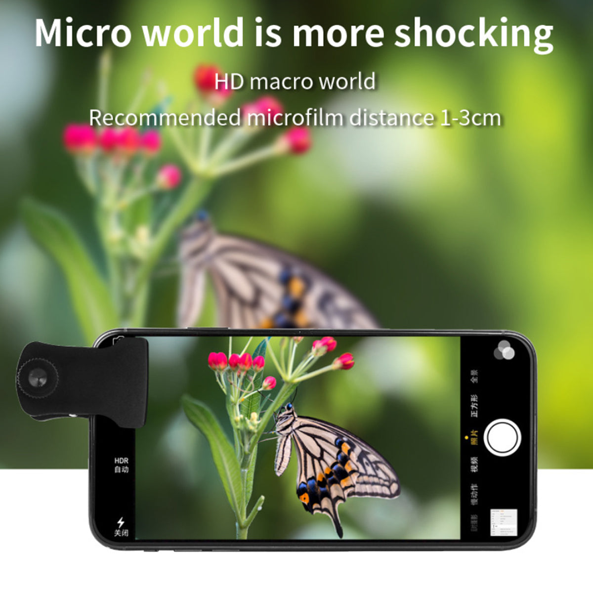 81783659