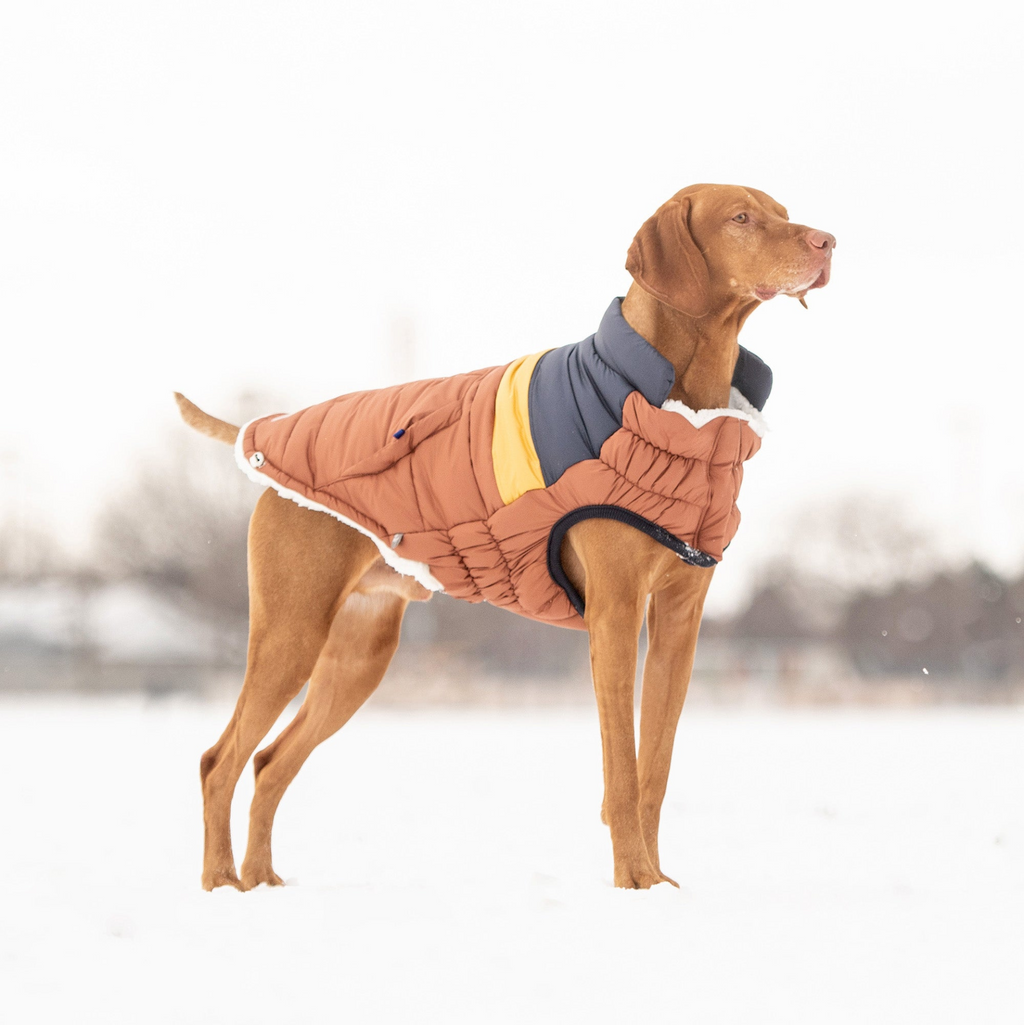 82084494